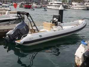 TIGER 740 PROLINE