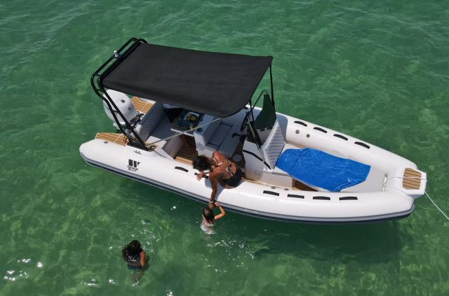 PROLINE 550 - Imagen 2