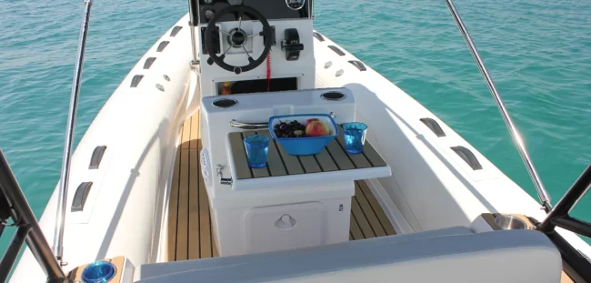 PROLINE 550 - Imagen 4